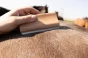 pol_pl_Szczotka-Easy-Grooming-Shedding-Brush-Kentucky-Grooming-Deluxe-14106_1.webp