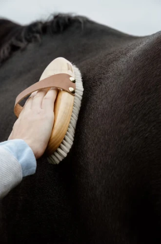 grooming-deluxe-szczotka-overall.png