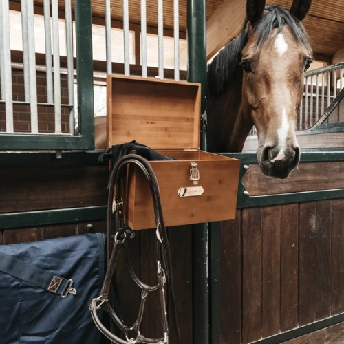pol_pl_Skrzynka-na-boks-Kentucky-Grooming-Deluxe-9008_3.webp