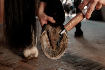 pol_pl_Preparat-na-gnijace-strzalki-Equi-Hoof-zinc-paste-Kentucky-Grooming-Deluxe-12741_2.webp