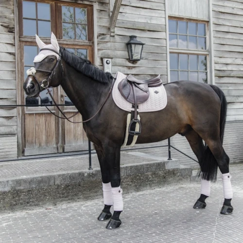 pol_pm_Kentucky-czaprak-Velvet-Pearls-pudrowy-roz-7225_2.webp