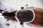 pol_pm_Kentucky-krotki-popreg-z-futrem-z-fartuchem-6416_1.webp