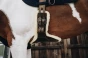 pol_pm_Kentucky-krotki-popreg-z-futrem-z-fartuchem-6416_3.webp