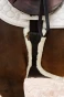 pol_pm_Kentucky-anatomiczny-popreg-Sheepskin-Anatomic-Stud-Girth-z-fartuchem-z-futrem-brazowy-11881_2.webp
