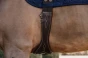 pol_pm_Kentucky-popreg-anatomiczny-brazowy-6430_3.webp