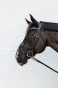 C81PH_099_02.webp