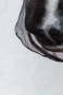 C81PH_099_03.webp