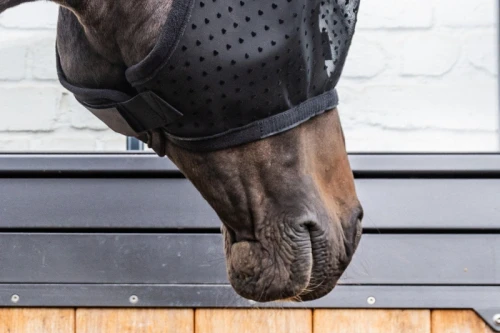 pol_pl_-Kentucky-Fly-Mask-Heart-maska-na-owady-czarna-14076_7.webp