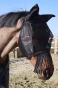BZHUX_099_02.webp