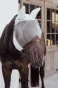 BZHUX_067_02.webp