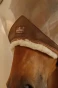 SN8S0_067_04.webp