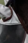 6FN7A_950_04.webp