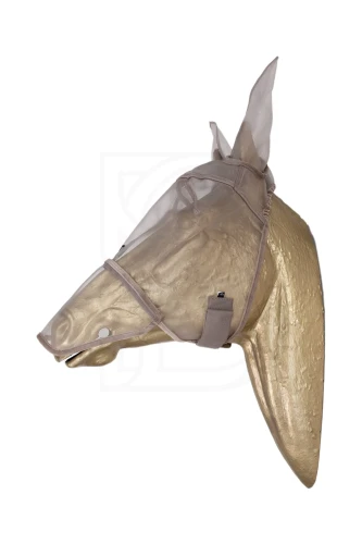 WH103_715_02.webp