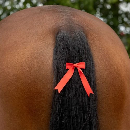 big_Kokardka-QHP-czerwona-oznaczenie-nerwowego-konia-8355-02.jpg