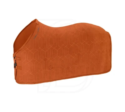 MDPHR_245_01.webp