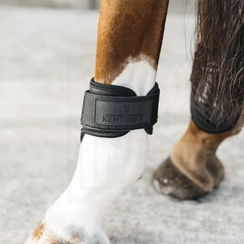 pol_pl_-Kentucky-ochraniacze-Young-Horse-Fetlock-na-zadnie-nogi-czarne-9032_4.webp