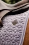 pol_pm_Kentucky-czaprak-Velvet-fioletowy-6280_2.webp