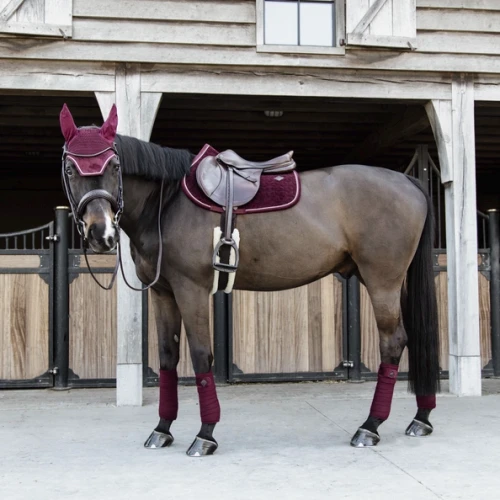 pol_pm_Kentucky-czaprak-Velvet-bordowy-8825_5.webp