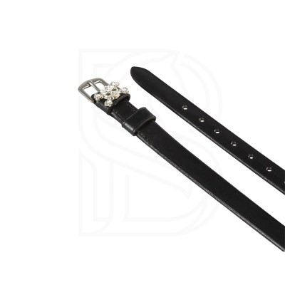 SR00104_TES-1 (1).jpg