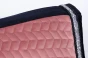 DSC8326.webp