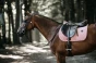 pol_pm_Kentucky-czaprak-Velvet-rozowy-6275_1.webp