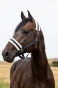 22244_099_03.webp