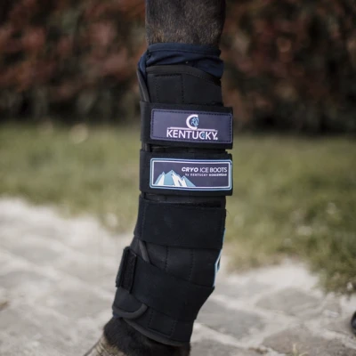 pol_pl_Kentucky-ochraniacze-chlodzace-Cryo-Ice-6110_4.webp