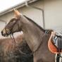pol_pm_Kentucky-czaprak-Velvet-pomaranczowy-7076_1.webp