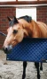 pol_pl_-Kentucky-bramka-na-boks-granatowa-6234_3.webp