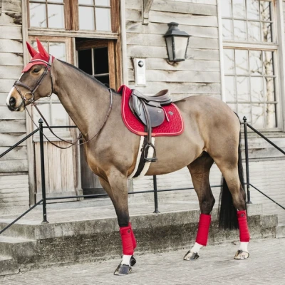 pol_pm_Kentucky-czaprak-Velvet-czerwony-7075_4.webp