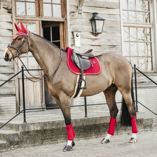 pol_pm_Kentucky-czaprak-Velvet-czerwony-7075_4.webp
