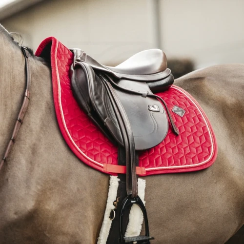 pol_pm_Kentucky-czaprak-Velvet-czerwony-7075_2.webp