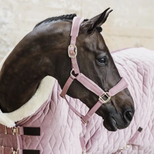 pol_pl_Kentucky-derka-stajenna-Velvet-160g-pudrowy-roz-7681_3.webp