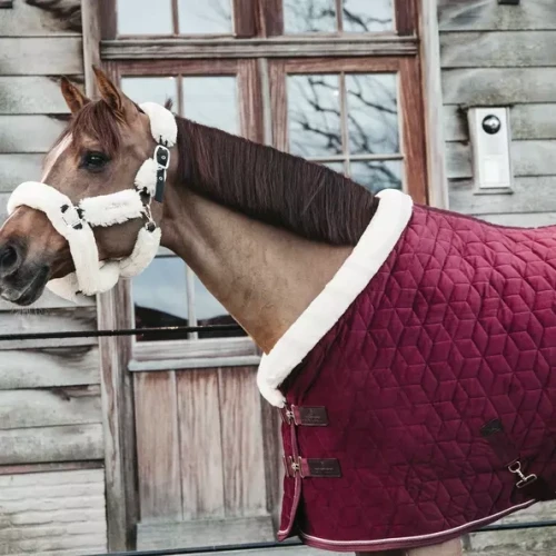 pol_pl_Kentucky-derka-stajenna-Velvet-160g-bordowa-9065_3.webp