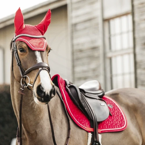 pol_pm_Kentucky-czaprak-Velvet-czerwony-7075_1.webp