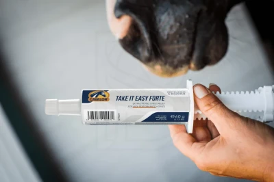 Take-it-Easy-Forte.webp