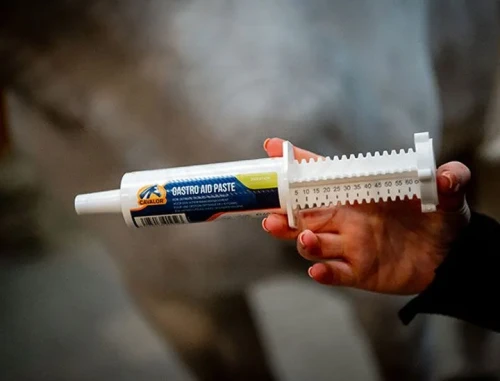 Gastro-Aid-Paste.webp