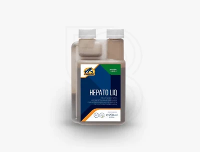 HepatoLiq250-Packshot-1.webp