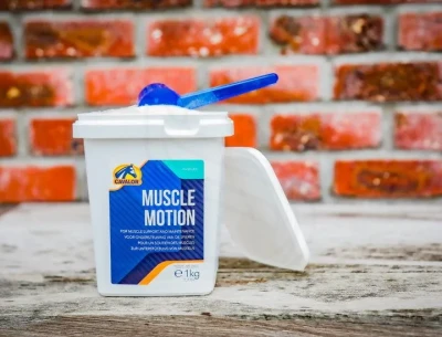 Muscle-Motion.webp