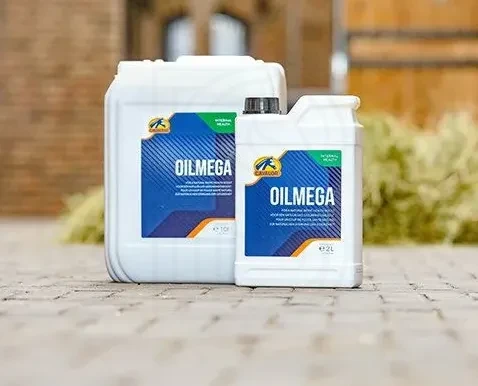 OilMega_EU.webp