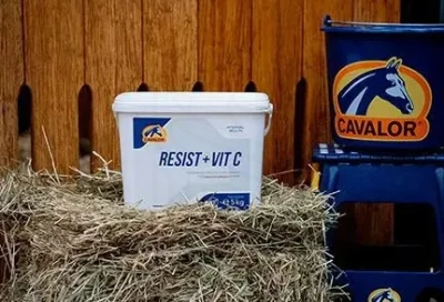 Resist.webp