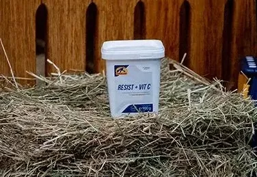 Resist900g.webp