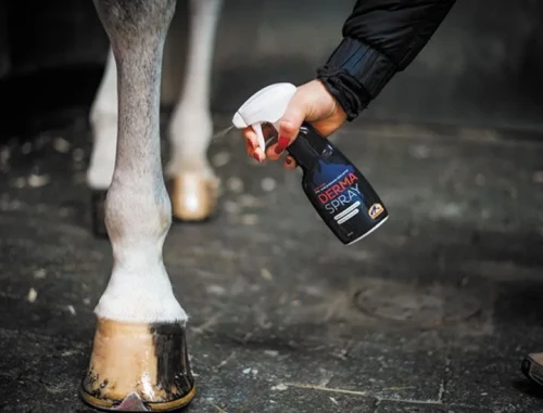 Derma-Spray.webp