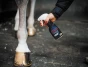 Derma-Spray.webp