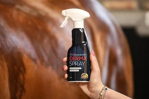Derma-Spray_EU.webp