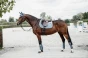 pol_pl_Kentucky-czaprak-Velvet-blekitny-6278_6.webp