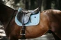 pol_pm_Kentucky-czaprak-Velvet-blekitny-6278_3.webp