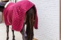 pol_pl_Derka-stajenna-Kentucky-Horsewear-400g-83576_8.jpg