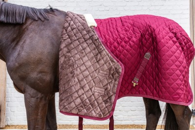 pol_pm_Derka-stajenna-Kentucky-Horsewear-400g-83576_10.jpg