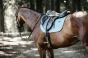 pol_pm_Kentucky-czaprak-Velvet-blekitny-6278_1.webp